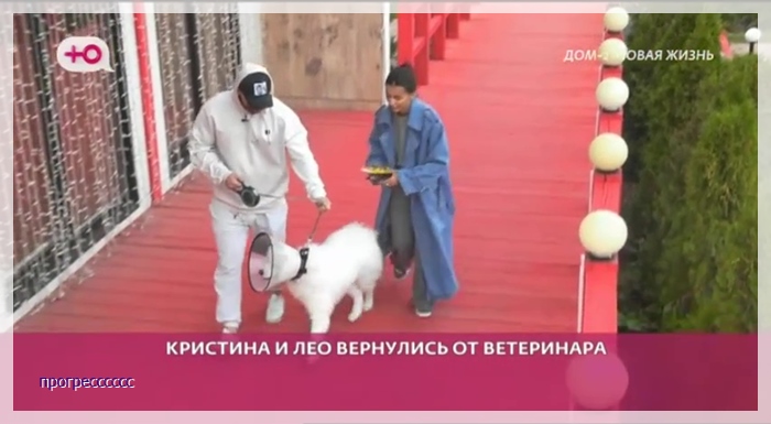 https://i1.imageban.ru/out/2023/10/10/27a8bc4ae9b96e58206c643448eaef76.jpg