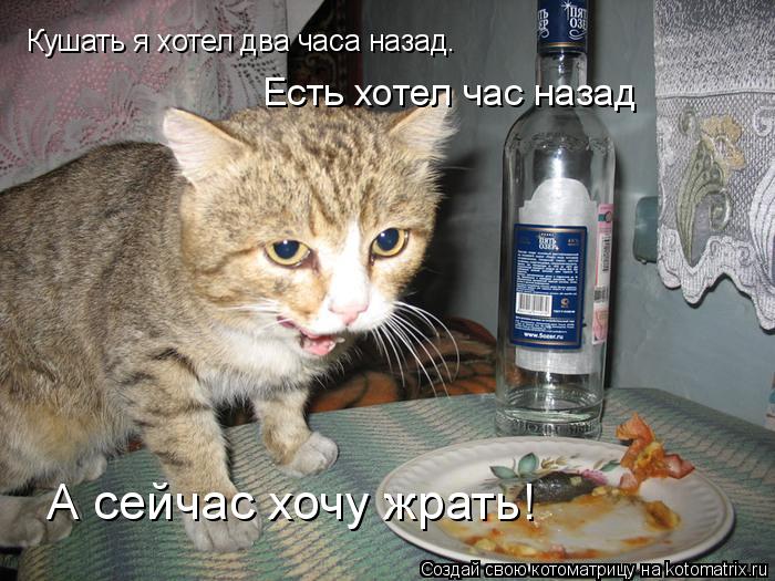 1655211399_B2.jpg