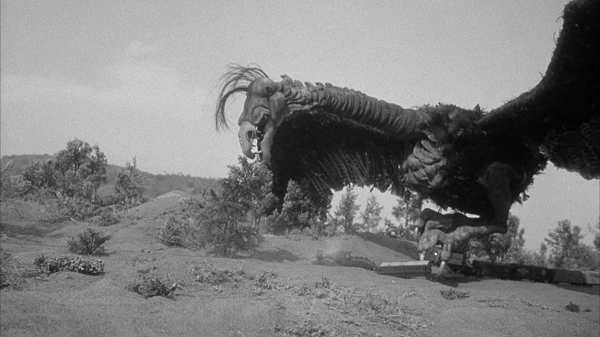 The Giant Claw 1957 BDRemux 1080p.mkv_snapshot_01.04.42.png