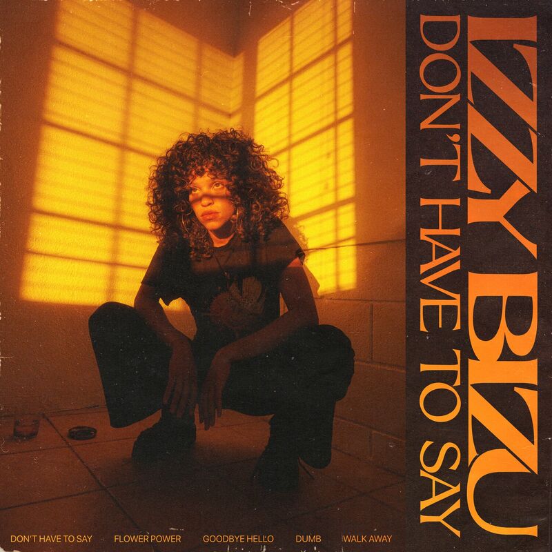 Izzy Bizu- Don't Have To Say 2023 Mp3 [320kbps]  1add6d2fc26f708cbe895a43ceecc510