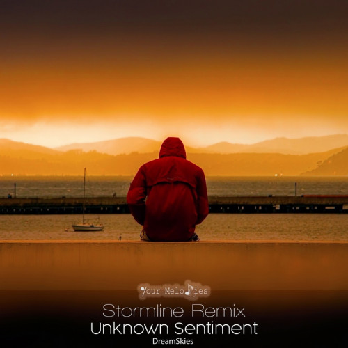 DreamSkies - Unknown Sentiment (Stormline Remix).mp3