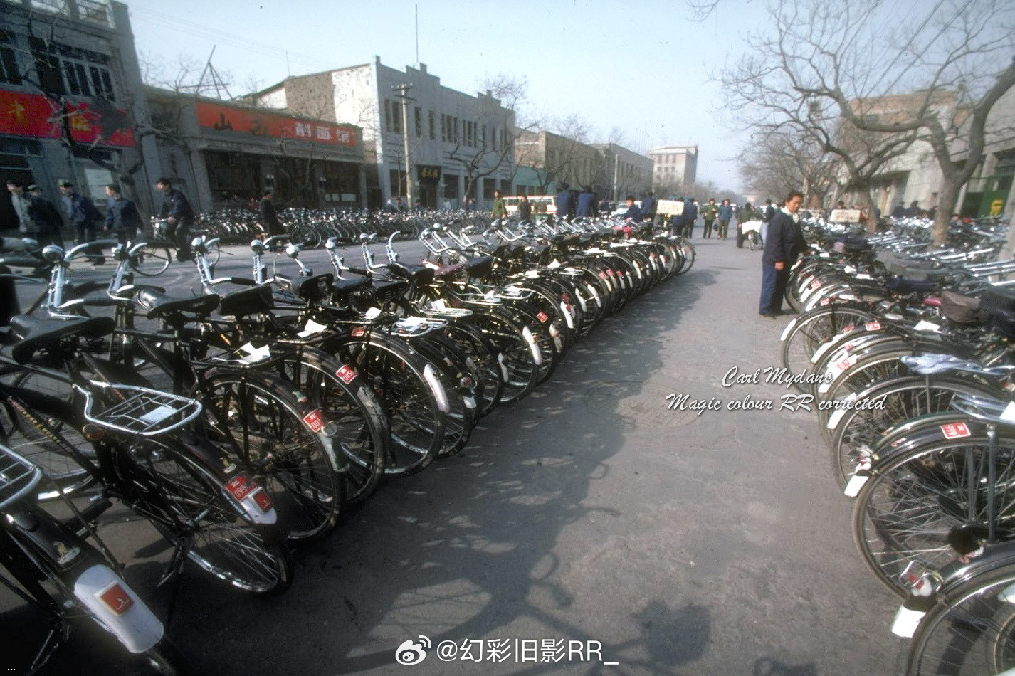 1981 ???    202401022.jpg