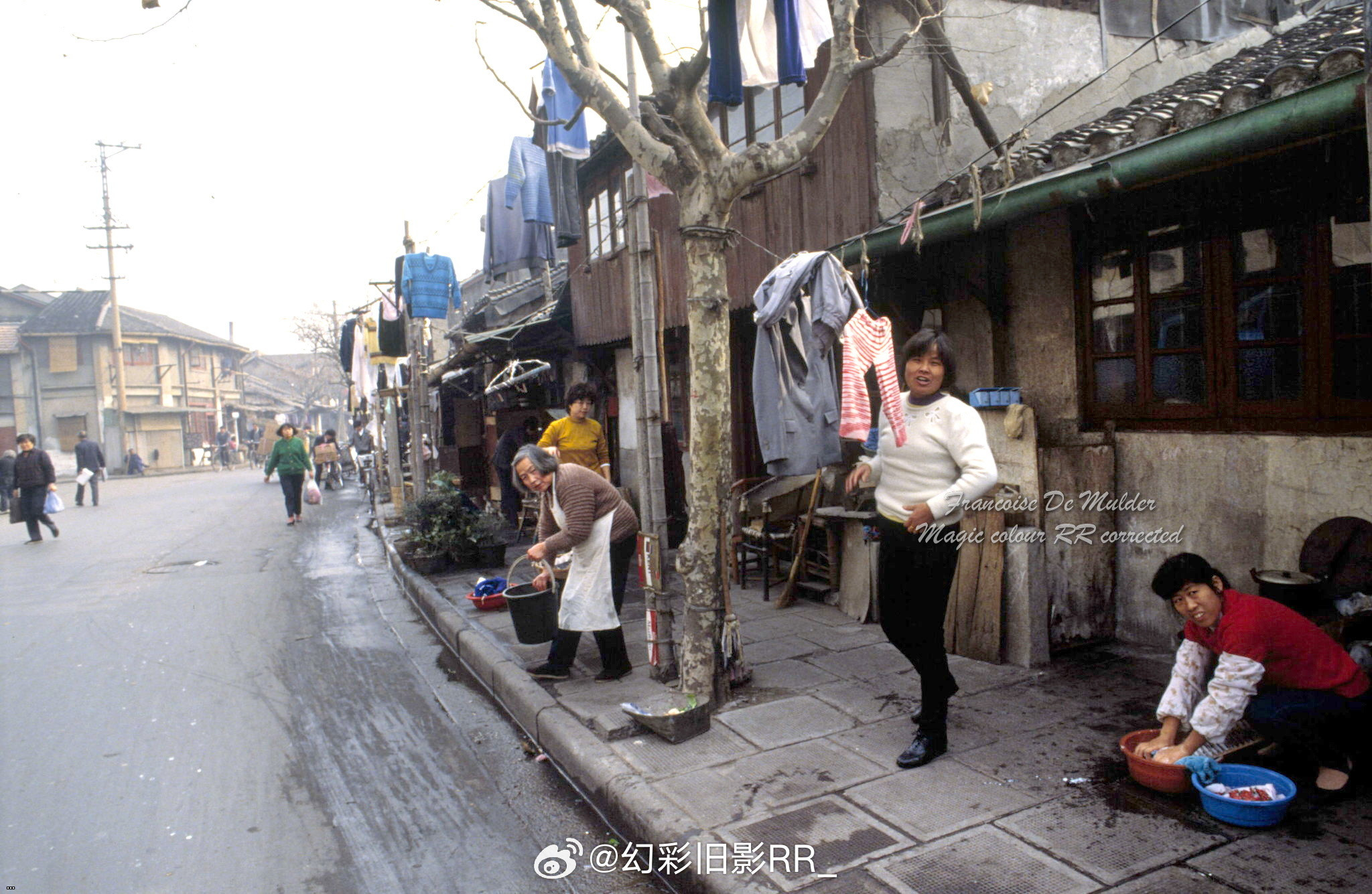 1991 ??    202401033.jpg