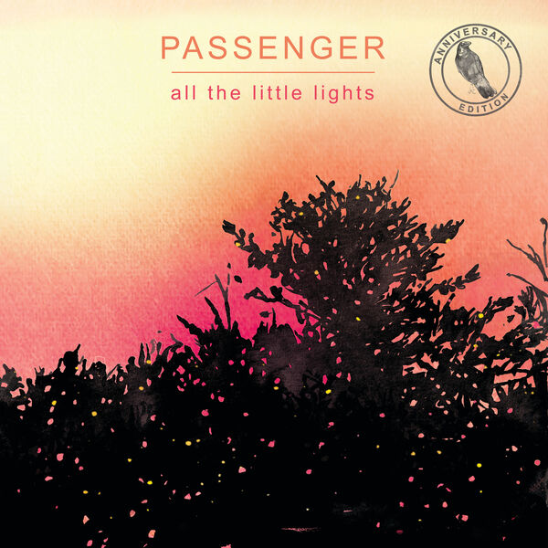 Passenger - All The Little Lights Anniversary Edition 2012 Folk Flac 16-44 (518.87 MB) 587fc94956a8b1f72cc75d1700241d6c