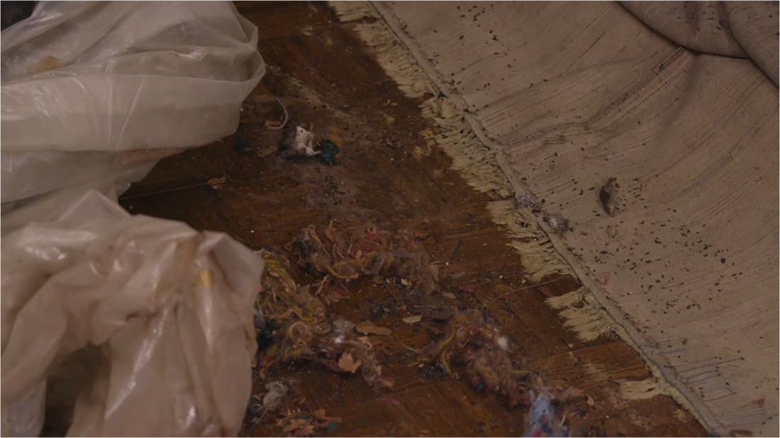 Hoarders S15E02 [1080p] (x265) Dfb691ba58d66ef96b77ab5d76ee573e