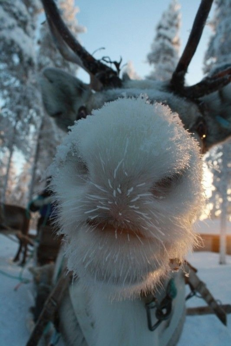 изображение_2024-02-09_210033438.png