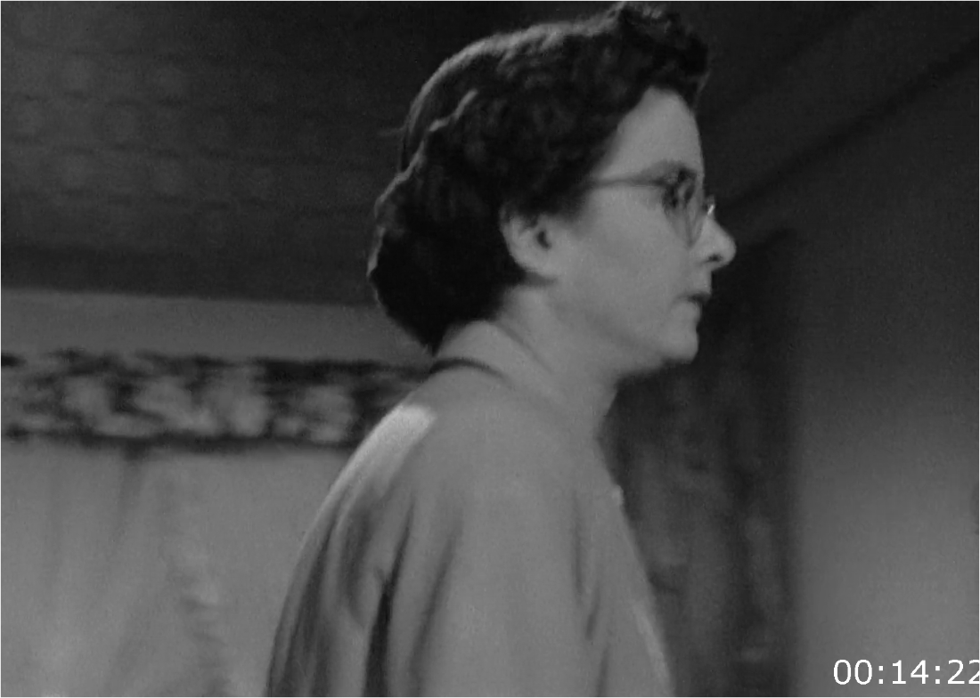 The Reckless Moment (1949) [1080p] BluRay (x264) 3300aabb364aa4b1cfac265e4e035753