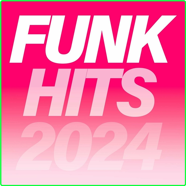 VA Funk Hits (2024) WEB [320 Kbps] Dfd962220216cdcdccf6e8b74733b2f2