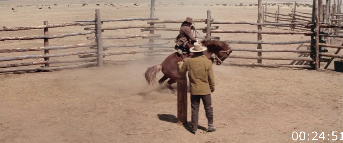 The Cowboys (1972) [1080p] BluRay (x264) Cfbc065befa723850a6b51b586bc9fa2