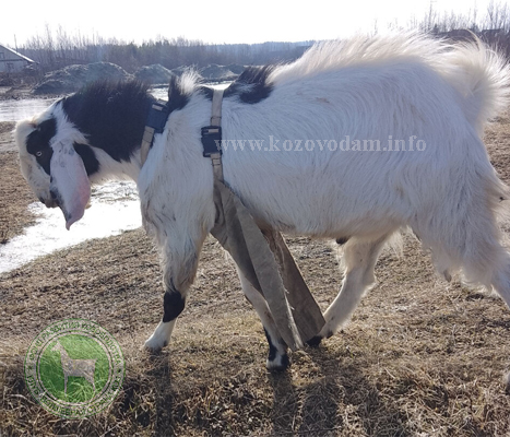 Ким 2 Марина Тетерева.jpg
