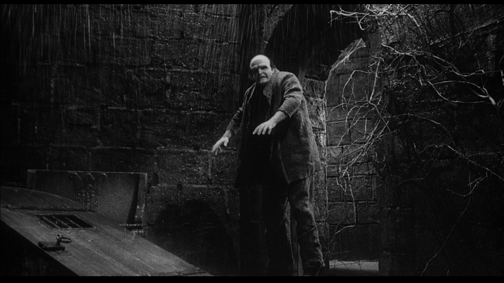 Young.Frankenstein.1974.20th.Century.Fox.BDRemux.1080p[(092651)2024-09-19-10-37-03].PNG