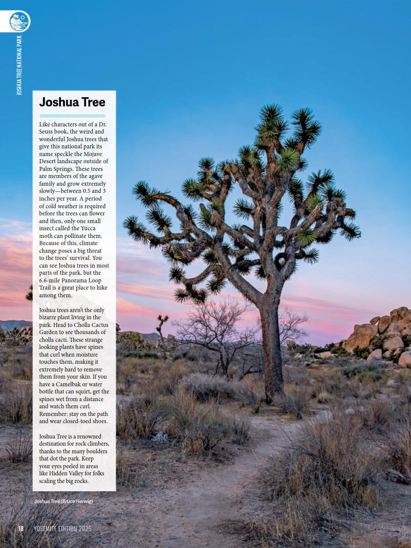 National Park Journal - 2025 Yosemite_20.jpg