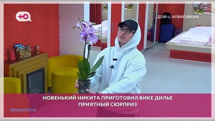 https://i1.imageban.ru/out/2025/02/02/5eb7b18ebfb9837e49e451e82a5af168.jpg