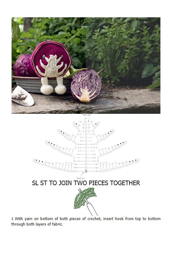 Alexandra's Garden Vegetables_083.jpg