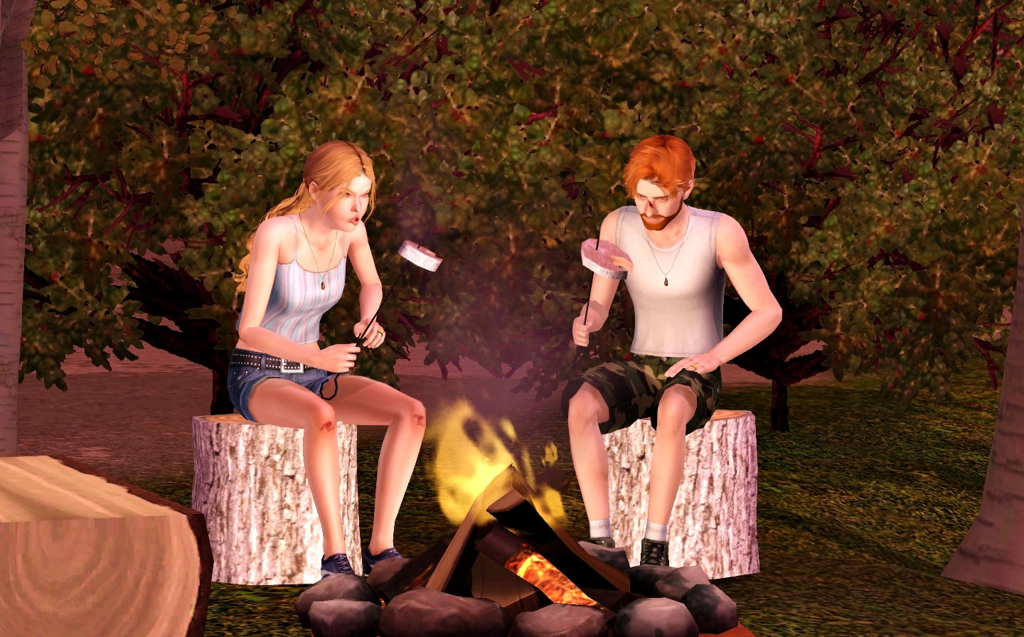 брод ночь.jpg