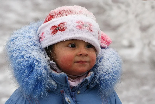 https://i1.imageban.ru/out/2025/03/03/020c539438f948f2665a20510b1aa784.png