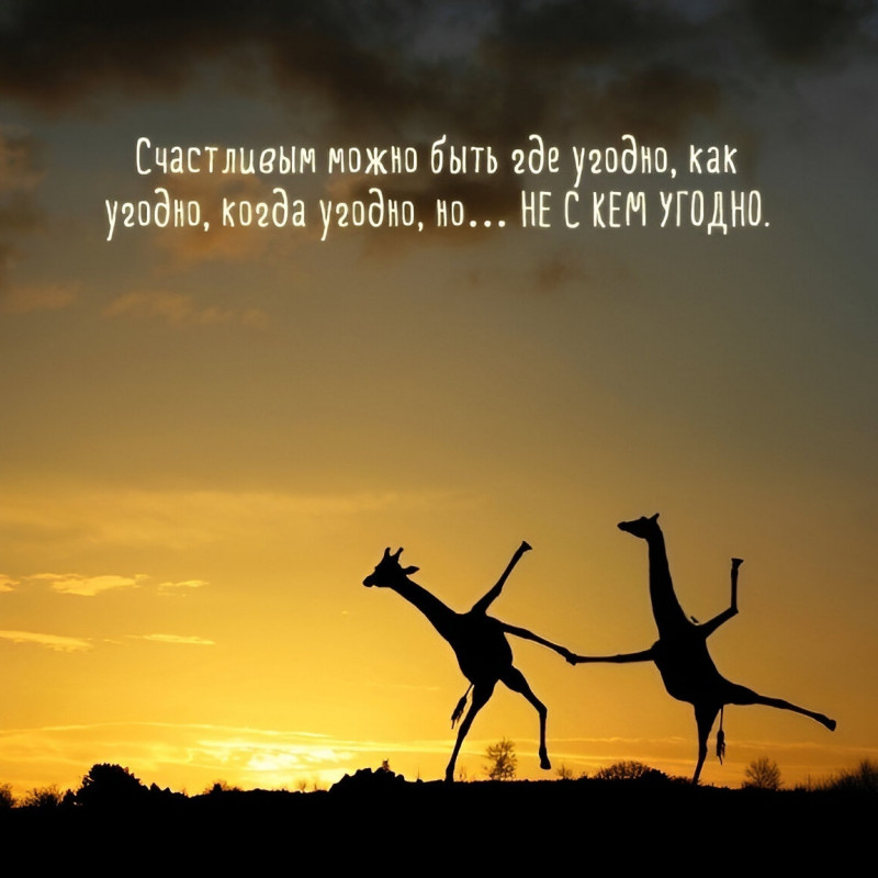 изображение_2025-03-30_005153371.png