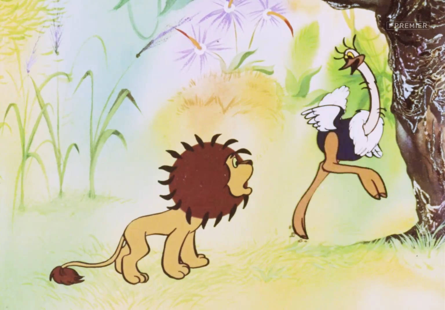 1Хитрые старушки. Про черепаху. Погоня. 1980.mkv011366.png