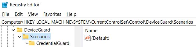 HKEY_LOCAL_MACHINE\SYSTEM\CurrentControlSet\Control\DeviceGuard\Scenarios\HypervisorEnforcedCodeIntegrity