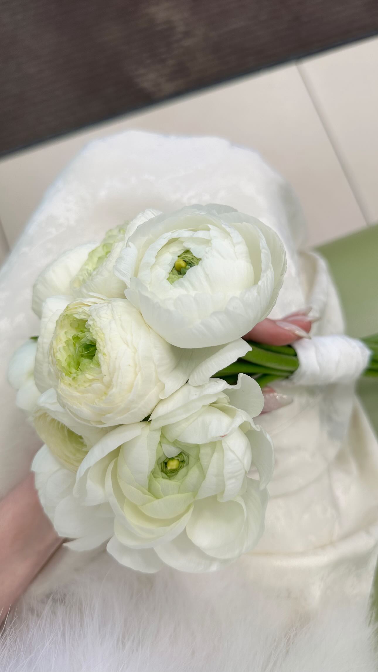 https://i1.imageban.ru/out/2025/04/18/af0c8f7a479fe1c814e3e0f612838431.jpeg