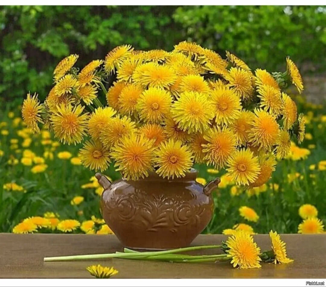 https://i1.imageban.ru/out/2025/05/13/aa6741888289088178053ae54a69781a.webp
