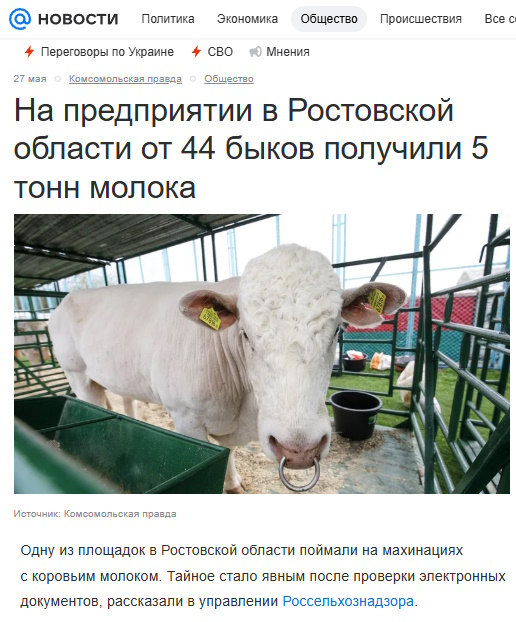 https://i1.imageban.ru/out/2025/06/01/88617693da3c9efb039229242bb6972b.jpg