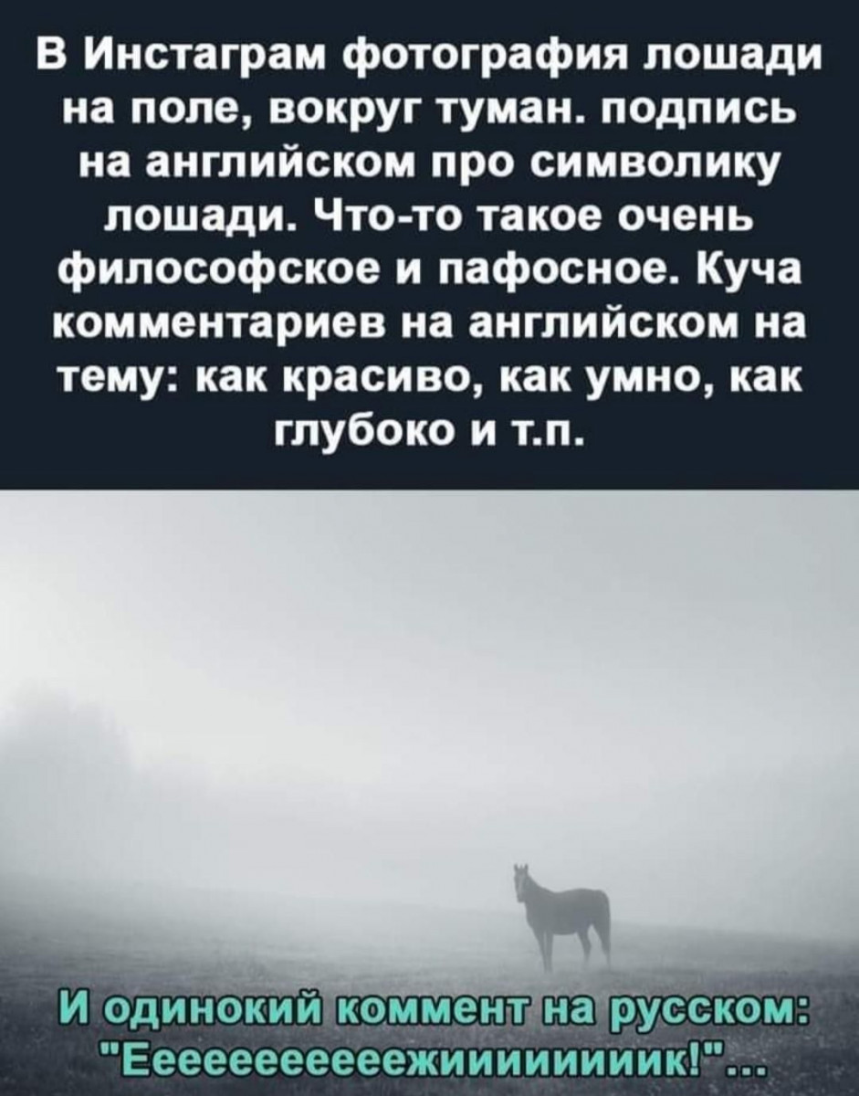 изображение_2025-06-05_184739981.png