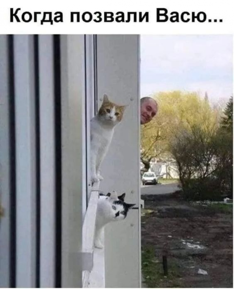 изображение_2025-06-06_233335339.png