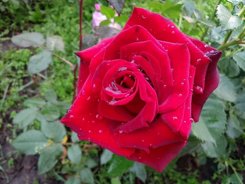 ccccf73fb7a09949277d167ce3dcbd7b.jpg