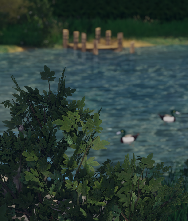 929e814eb0733fd34a40dc19f36a97b5.png