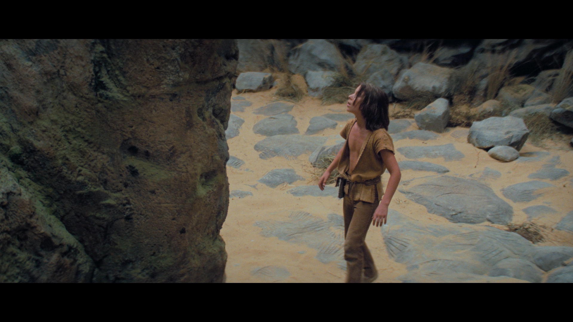 The.Neverending.Story.1984.Imprint.BDRemux.1080p.Extended.German.Cut[(106680)2025-06-08-15-46-36].PNG