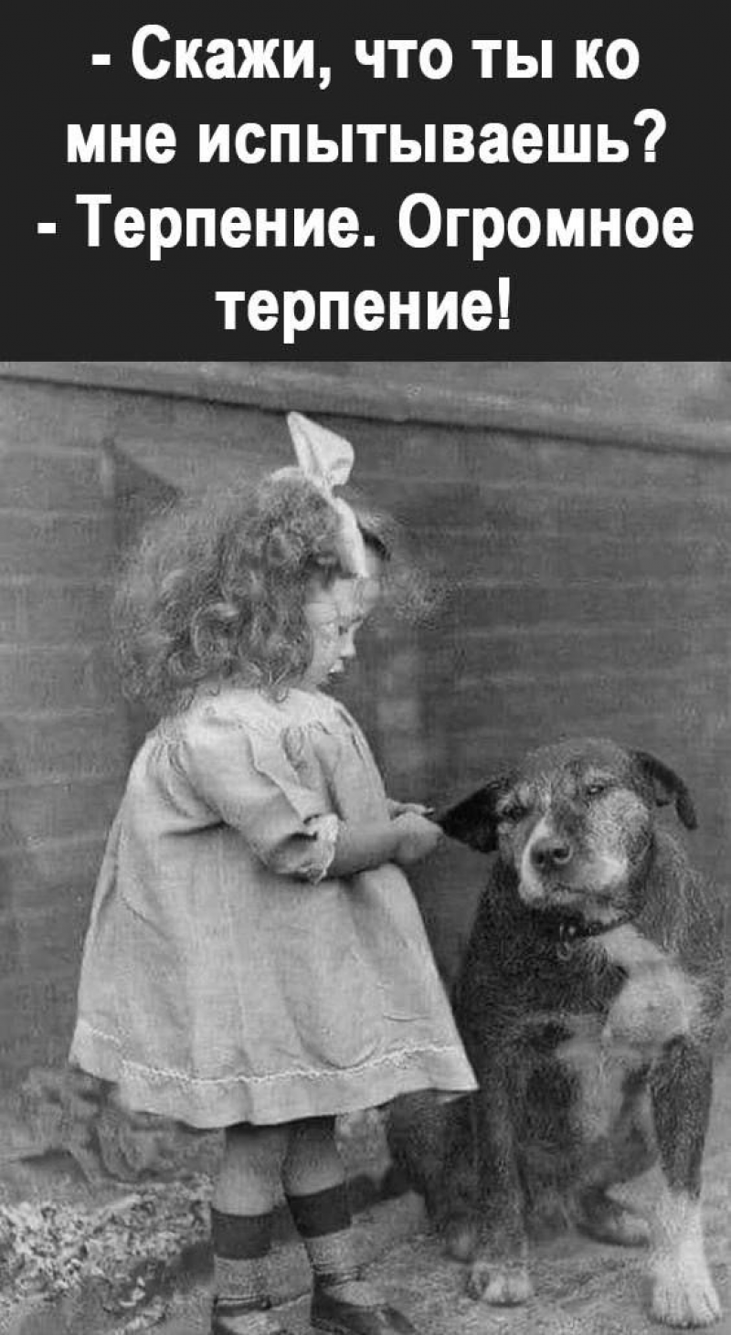 изображение_2025-06-12_154442629.png