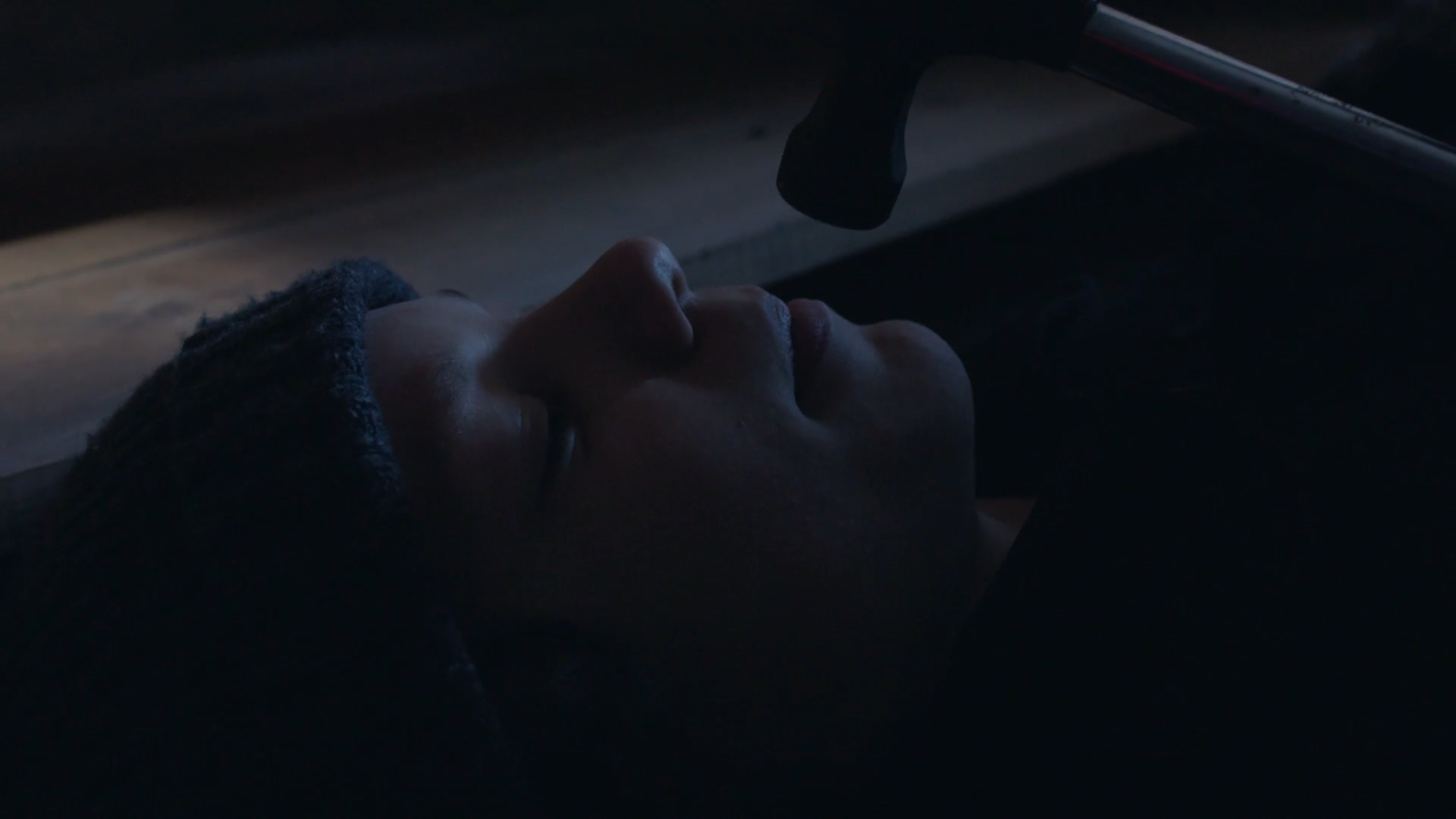 Villdyr 2017 WEB-DL 1080p.mkv_snapshot_06.41.png
