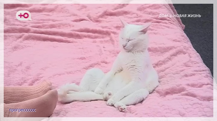 https://i1.imageban.ru/out/2025/06/25/368ee9c0102b98b858a6e8394cc6409a.jpg