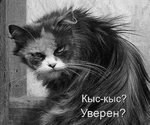 изображение_2025-08-02_004713137.png