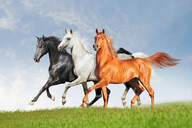 https://i1.imageban.ru/out/2025/08/31/cf03d8e6cd768bc3bf965cf590471d8f.jpeg