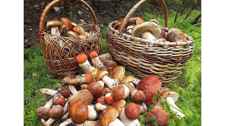 https://i1.imageban.ru/out/2025/09/07/48db27d833a60cafa2d40314cb3630c4.webp