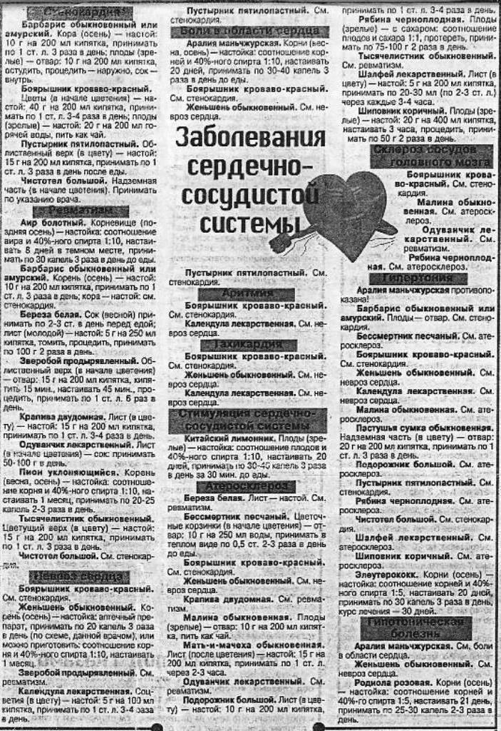 https://i1.imageban.ru/out/2025/09/11/47051ae8016cc0a9ec4b8a07d26136cc.jpg
