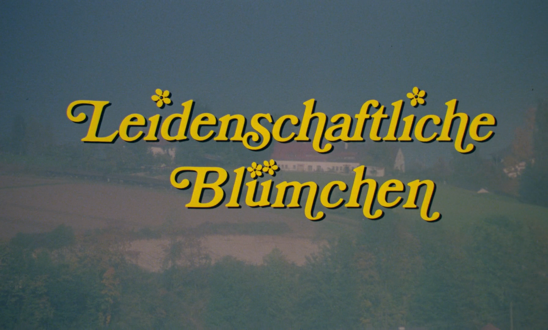 Leidenschaftliche Blumchen003811.png