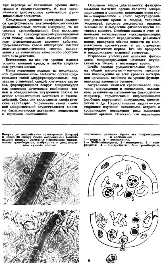 https://i1.imageban.ru/out/2025/09/21/c12f7440d4f6ff1047e387c4d16541ab.jpg