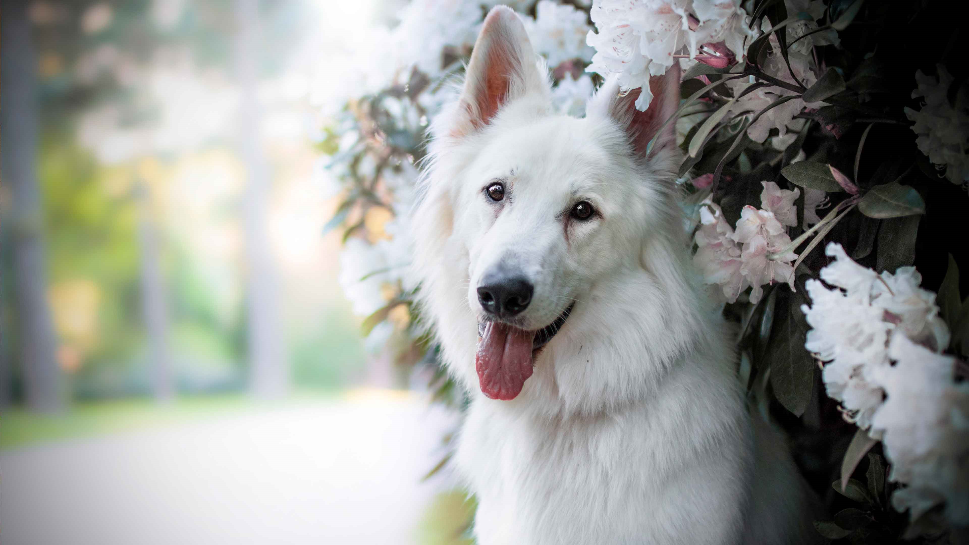 Клик для увеличения