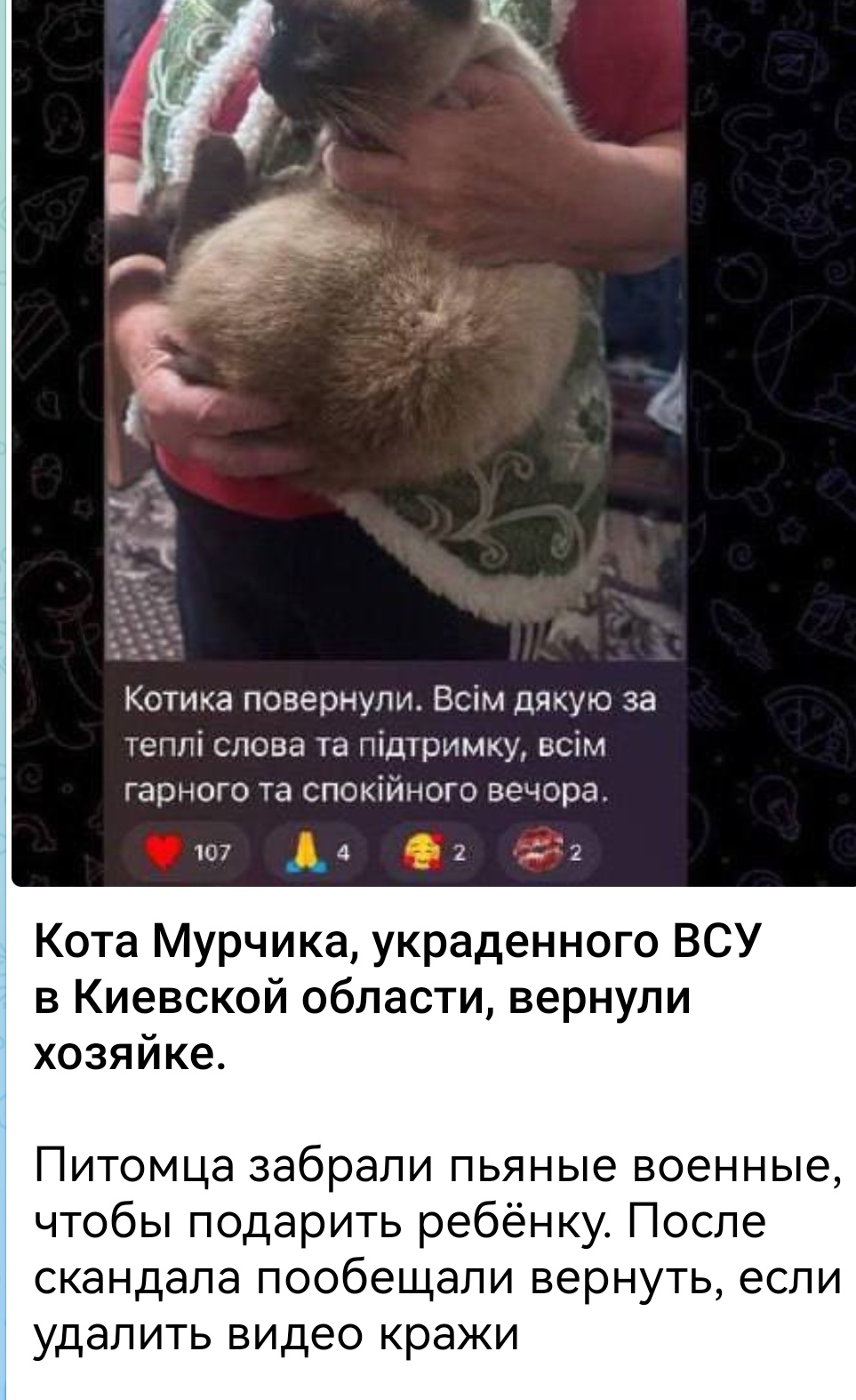 https://i1.imageban.ru/out/2025/10/06/b55930d08023514ce9e6fbd0b6bdc1f4.jpg