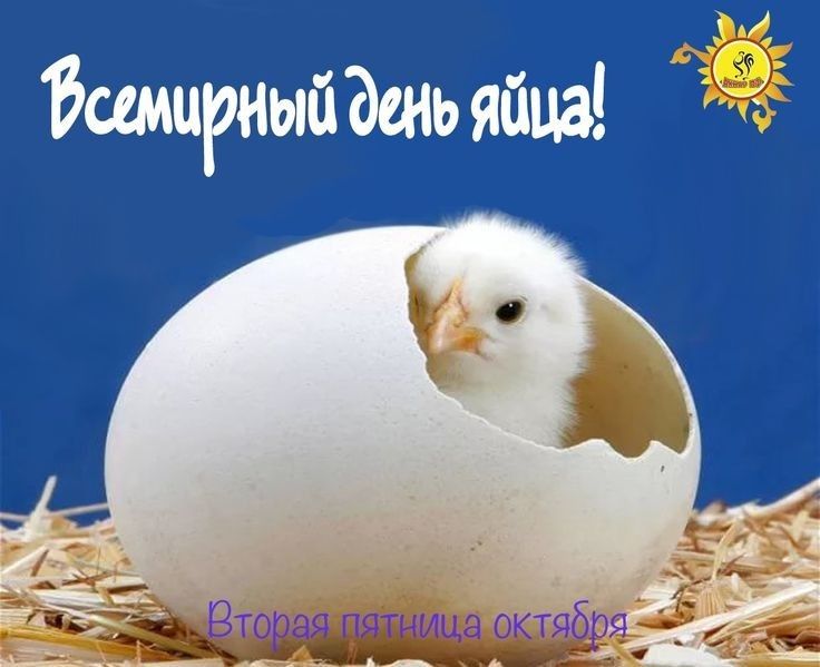https://i1.imageban.ru/out/2025/10/10/0fb0949b707d8e5dfa3f9615707032c1.jpeg