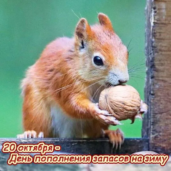 https://i1.imageban.ru/out/2025/10/20/9a982daeb11b1285ff4bb03dcf5a704b.webp