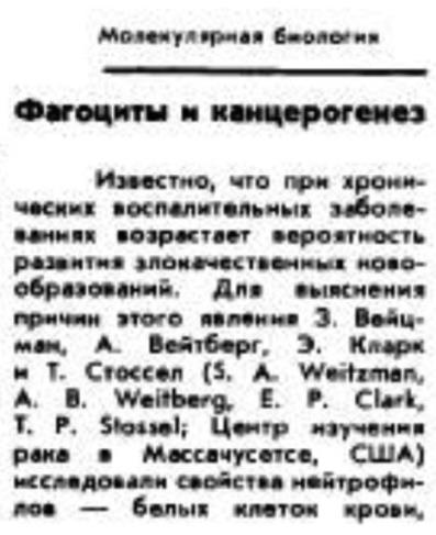 https://i1.imageban.ru/out/2025/10/23/78cf97c587308a4c3ec14ea7f21bb010.jpg