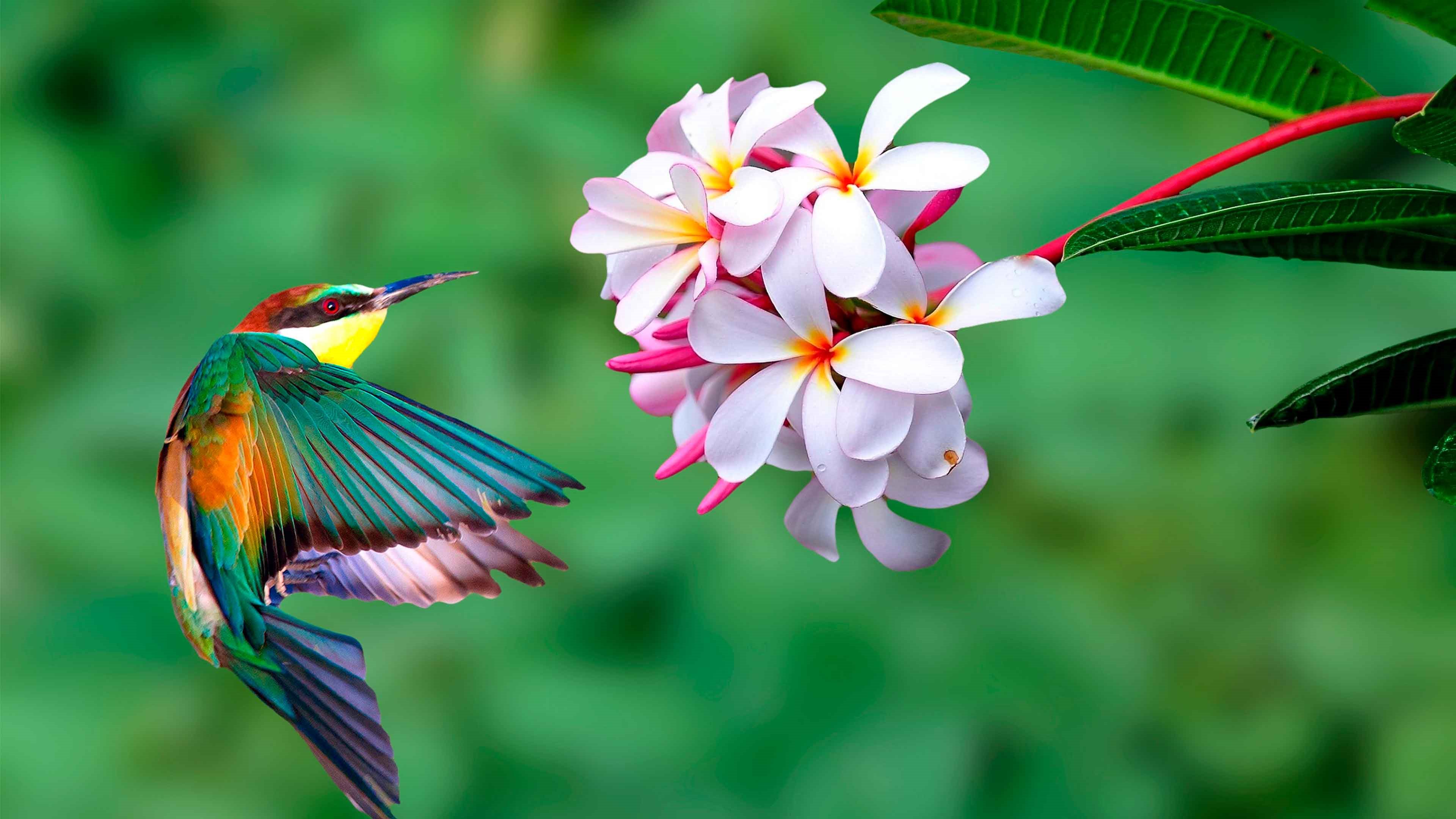 Клик для увеличения