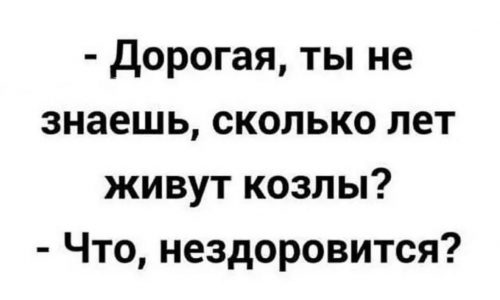 изображение_2025-11-02_012528402.png