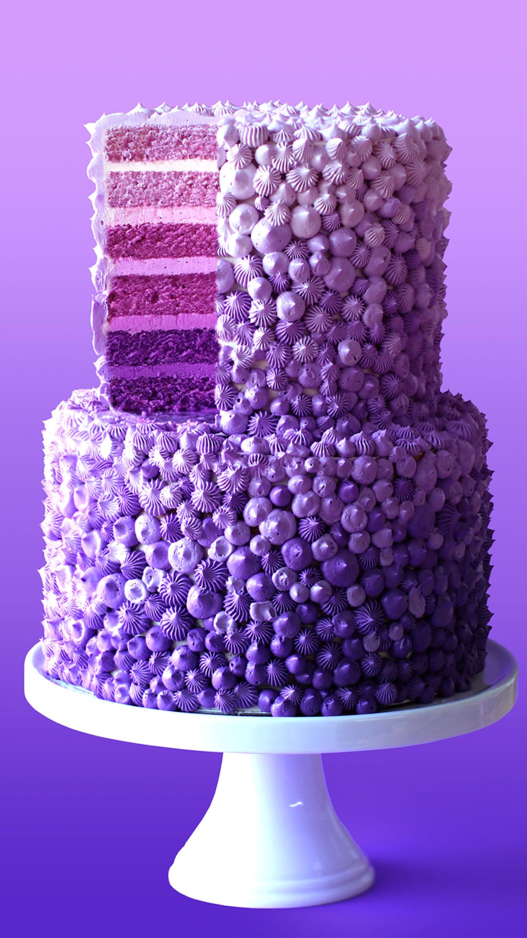 2g444.jpg