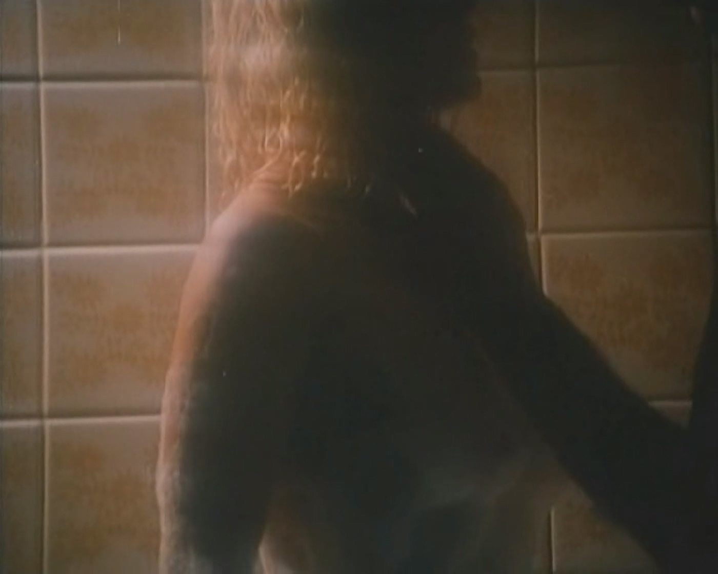 Елена Кондулайнен, неизвестная Шоу для одинокого мужчины (1994).mp4_20251118_150523.792.jpg