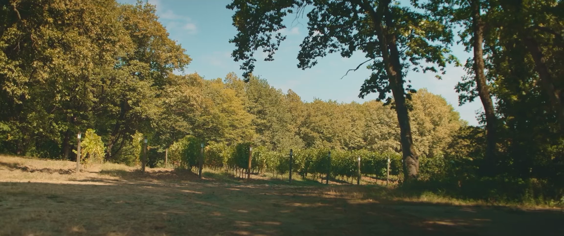 Попутчики (2025) WEB-DLRip-AVC_ivanes.mkv_snapshot_01.10.50.250.png